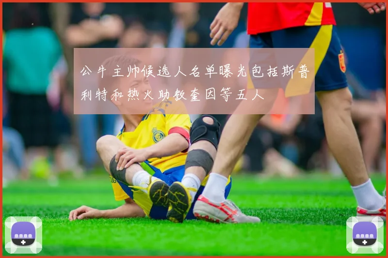 公牛主帅候选人名单曝光包括斯普利特和热火助教奎因等五人